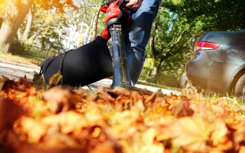 Professional Lawn Seasonal Cleanup Services in Wayne, PA